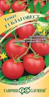 00005194_Томат Благовест (Гавриш)