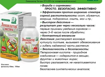 Снимок