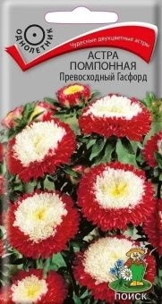 00040698_Астра Превосходный Гасфорд помпонная 0,3г