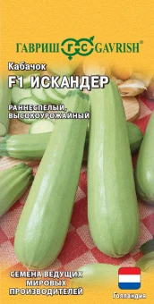 iskander_mini4