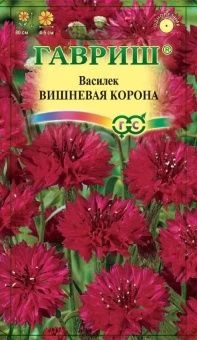 00008432_Василек Вишневая корона (Гавриш) 1800