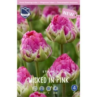 tyulpan-viked-in-pink-w800-h800