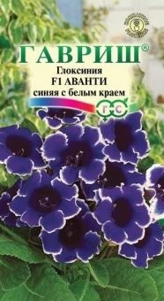 Глоксиния Аванти синяя с белым краем (Гавриш) 1/1000