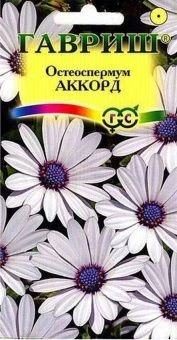 00007946_Остеоспермум Аккорд белый (Гавриш) 1_1000