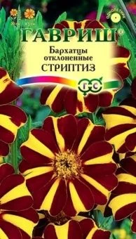 00008317_Бархатцы Стриптиз отклоненные (Гавриш) 1_