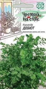 00013165_Кориандр Дебют серия Урожай на окне (Гавр