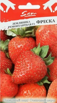 Снимок экрана 2026-05-07 171111
