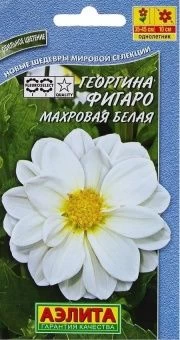 00022886_Георгина Фигаро махровая белая (Аэлита)