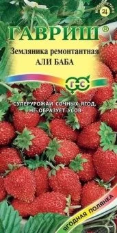 00009165_Земляника Али Баба (Гавриш) 1_1000