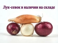 Уважаемые партнеры! Информируем о поступлении новой партии лука-севка.