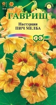 00011626_Настурция Пич Мелба (Гавриш) 1 1000