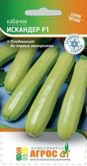 ЦБ-00023339_Кабачок Искандер F1 5шт Seminis (Агрос)