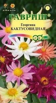 00008204_Георгина Кактусовидная (Гавриш) 11000