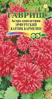 00009135_Астра Эрфуртский Карлик Кармезин (Гавриш)