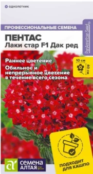 Снимок экрана 2026-07-31 100432