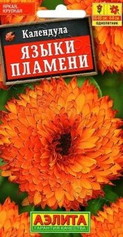 00001999_Календула Языки Пламени (Аэлита)