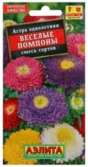 00014363_Астра Веселые Помпоны смесь окрасок (Аэли