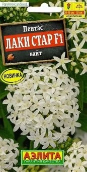 00035406_Пентас Лаки Стар вайт (Аэлита)