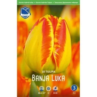tyulpan-banya-luka-w800-h800