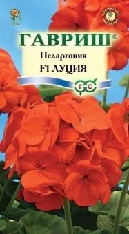 Пеларгония Луция зональная (Гавриш) 1/1000