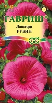 00007911_Лаватера Рубин (Гавриш) 1600