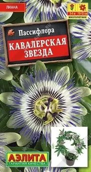 00036442_Пассифлора Кавалерская звезда (Аэлита)