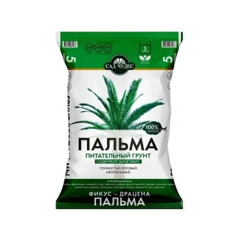 00002605_Сад Чудес Пальма 5л (Норд Палп)