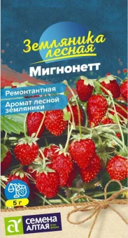 Снимок