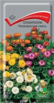 00041070_Гелихризум Низкорослая смесь 0,1гр (ПОИСК