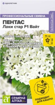 Снимок экрана 2026-07-31 100149