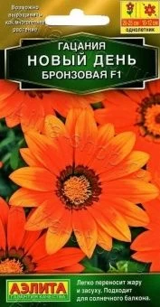 00022856_Гацания Новый день F1 бронзовая (Аэлита)