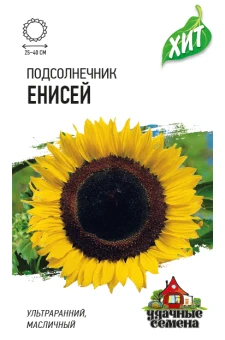 podsolnechnik_enisej_mini3