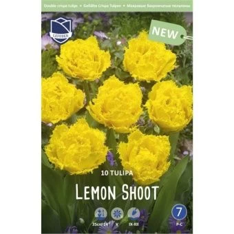 tyulpan-lemon-shut2-w800-h800