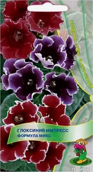 Снимок