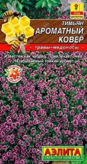 00040762_Тимьян Ароматный ковер (Аэлита)