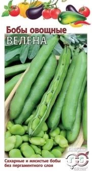 00006366_Бобы Велена (Гавриш)_result
