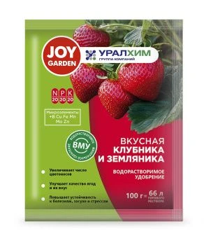 ВМУ клубника 100 г
