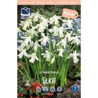 nartsiss-elka-w800-h800