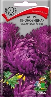 00040696_Астра Фиолетовая башня пионовидная  0,3г 