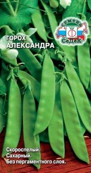 00017495_Горох Александра (СеДек)