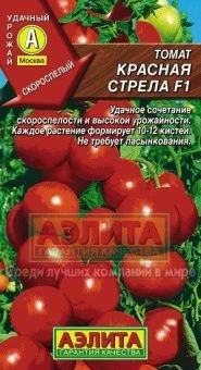красная стрела.jpg