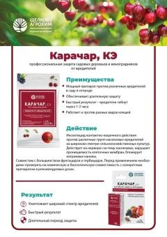 Karachar_litso