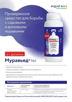 Муравьед N1