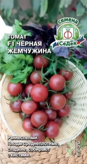 00017507_Томат Черная Жемчужина (СеДек)
