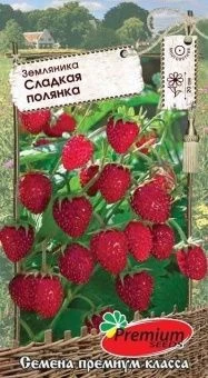 00032390_Земляника Сладкая Полянка (Премиум Сидс)