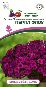 Снимок