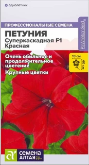 Снимок