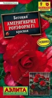 00035602_Бегония Америгибрид Роузформ F1 красная (