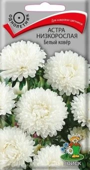 00033911_Астра Белый ковер низкорослая 0,2г (ПОИСК