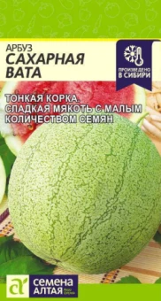 Снимок экрана 2026-07-30 131146